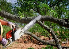 Mulching Services in Lordsburg, NM